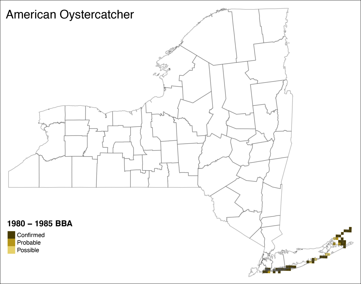 American Oystercatcher Atlas 1 Distribution