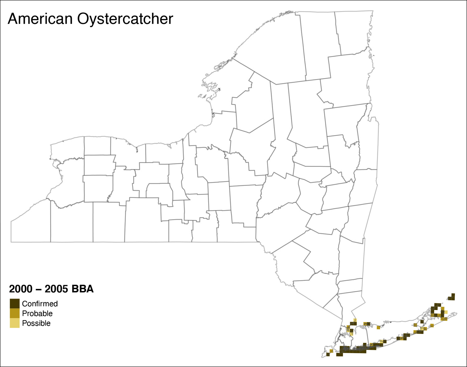 American Oystercatcher Atlas 2 Distribution