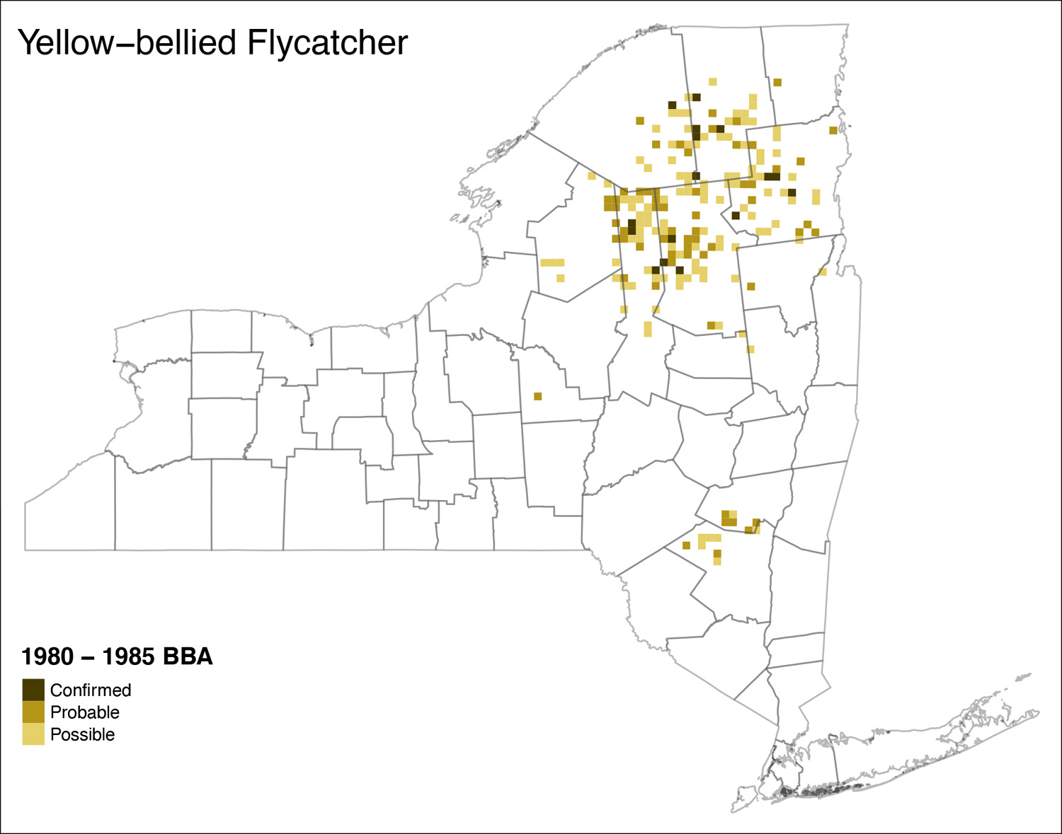 Yellow-bellied Flycatcher Atlas 1