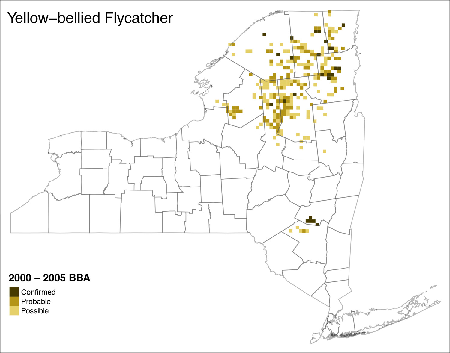 Yellow-bellied Flycatcher Atlas 2