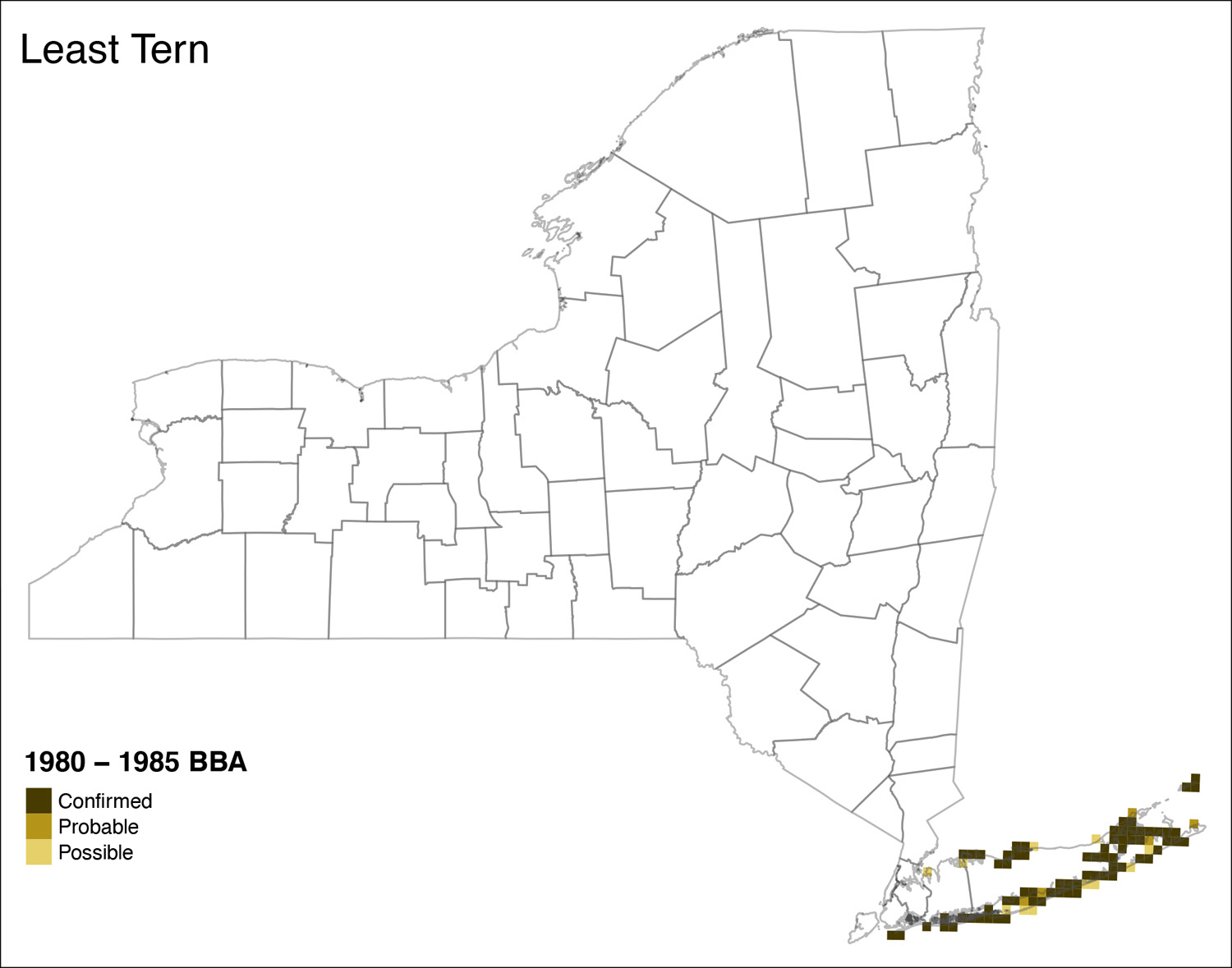 Least Tern Atlas 1 Distribution