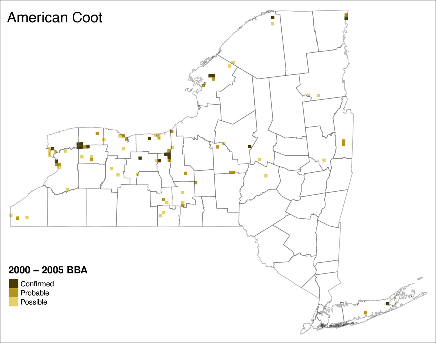 American Coot Atlas 2 Distribution
