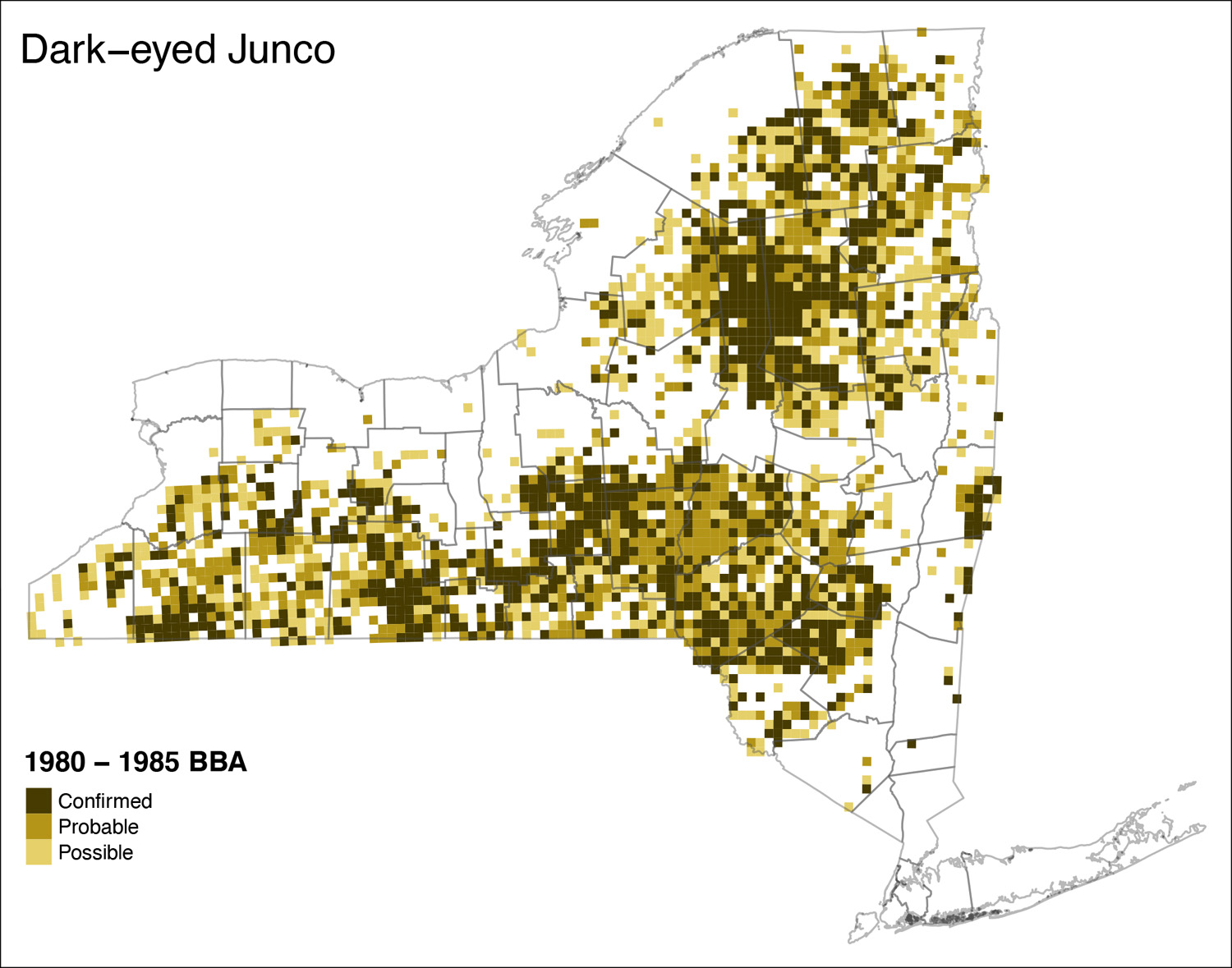 Dark-eyed Junco Map Atlas 1