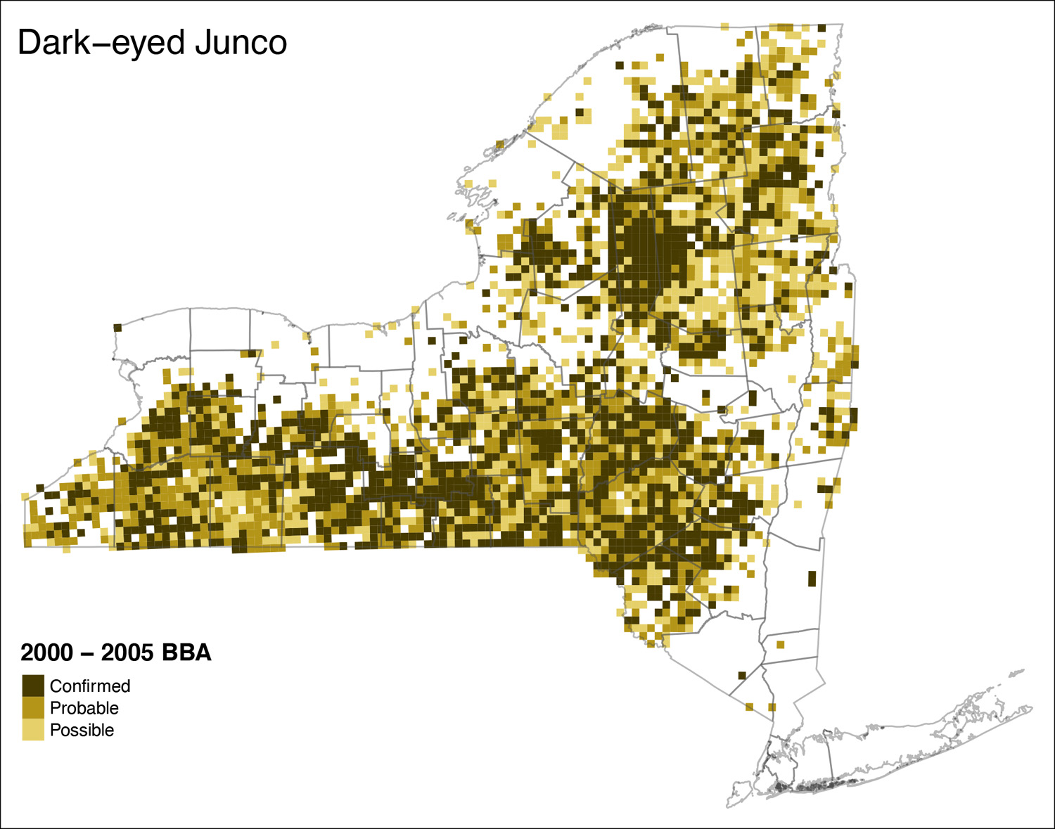 Dark-eyed Junco Map Atlas 2